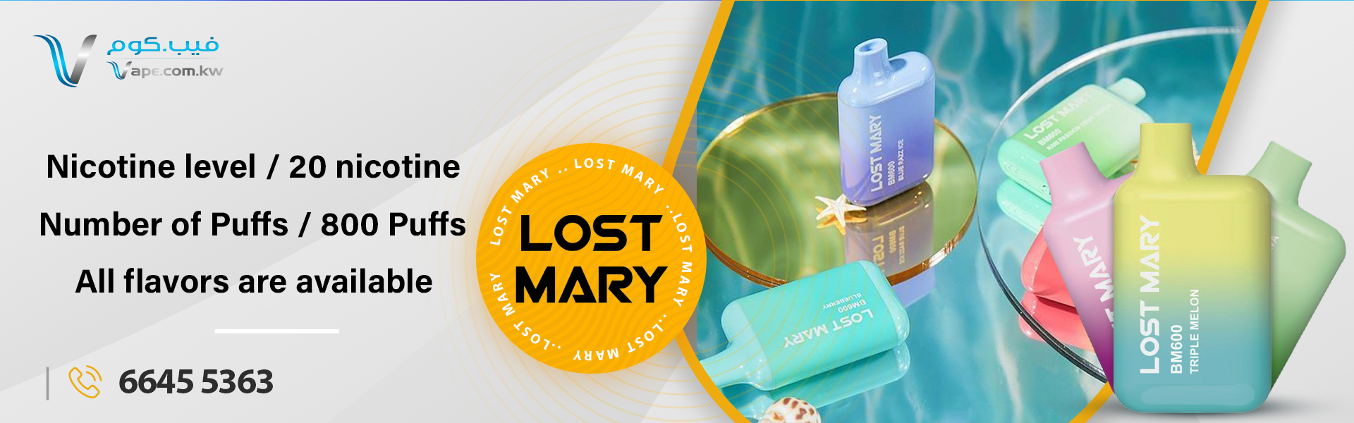 LOST MARY BANNER